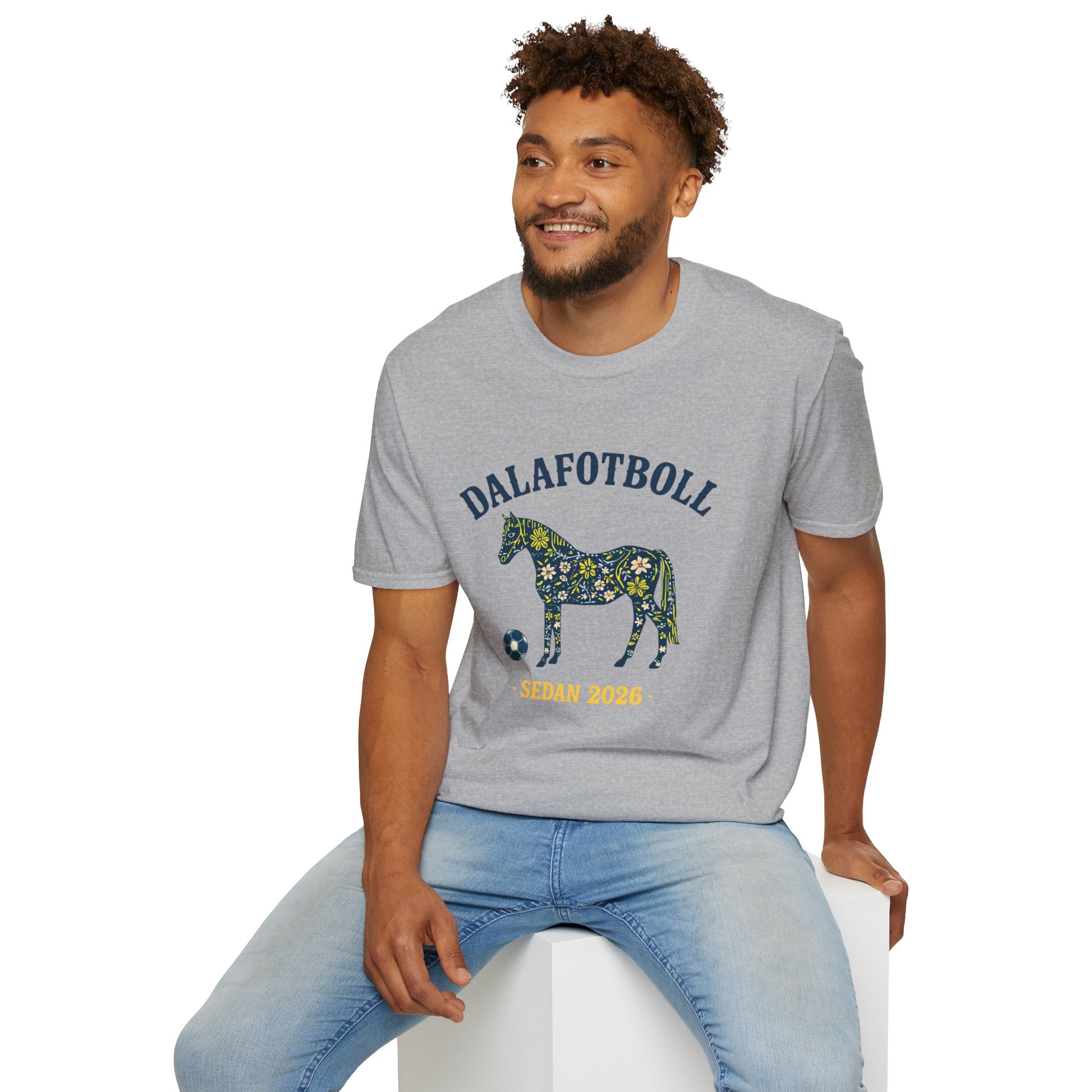 🇸🇪 DALAFOTBOLL